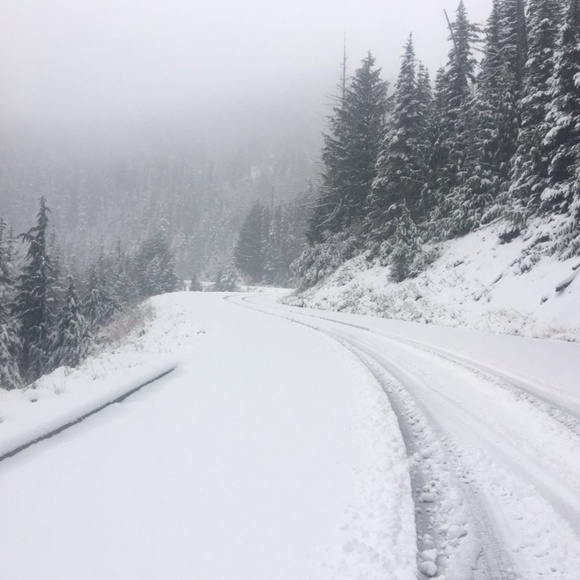 Meet your Posher, Tanez - Picture 1 of 1